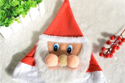 Funny decoratedsanta christmas children hat wholesale (4)