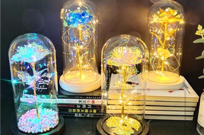 Luxury eternal gold foil rose in glass dome (4)