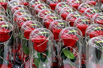 Luxury valentine eternal preserved rose in glass dome (1)