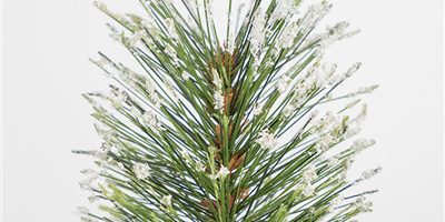 Mini table top snowy style pine needles christmas tree (8)