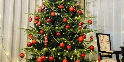 Outdoor-warm-lights-artificial-christmas-tree-4-800×800