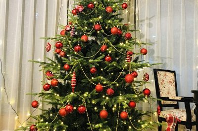 Outdoor-warm-lights-artificial-christmas-tree-4-800×800