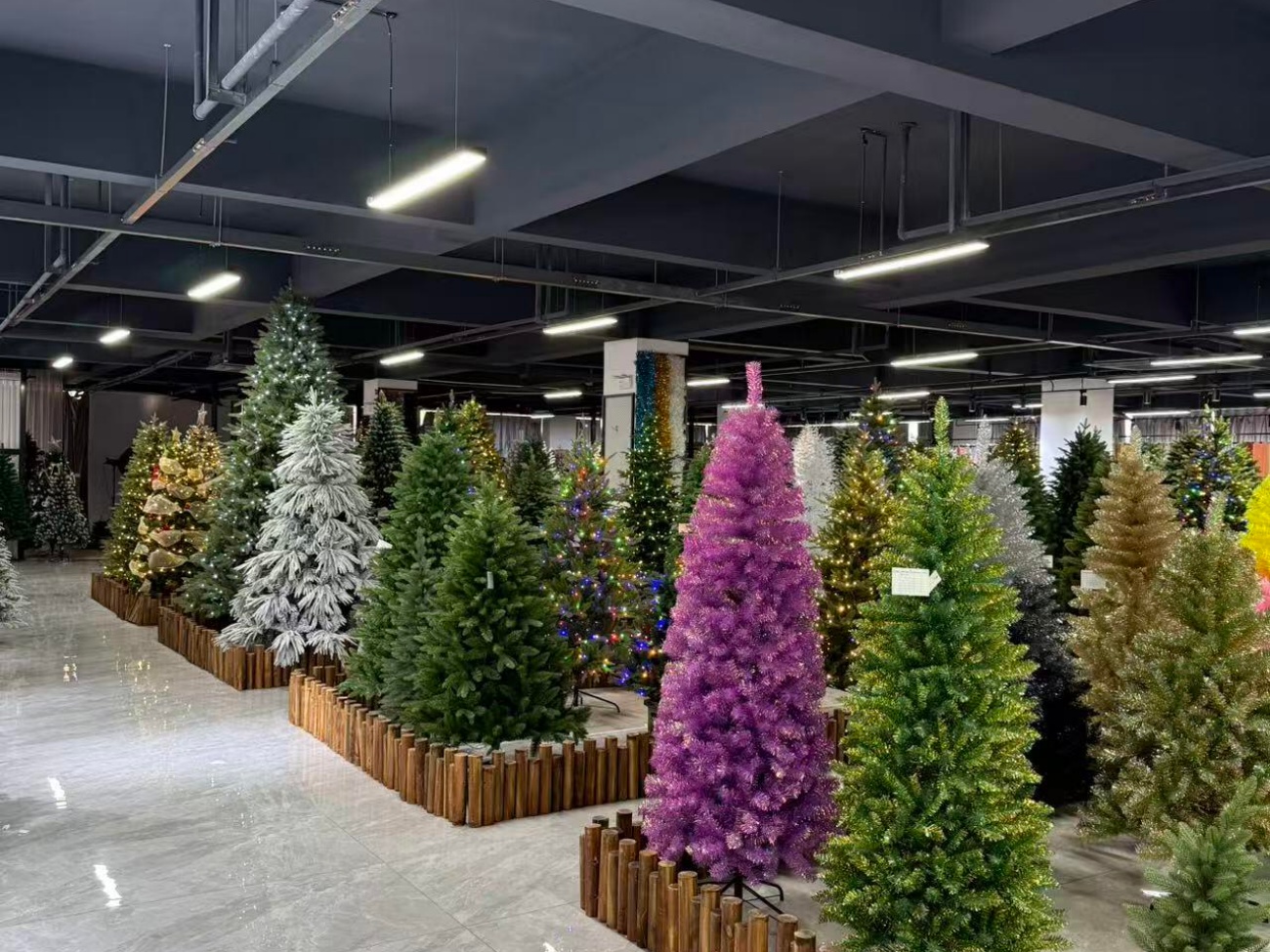 Christmas Tree Showroom And Sample Display